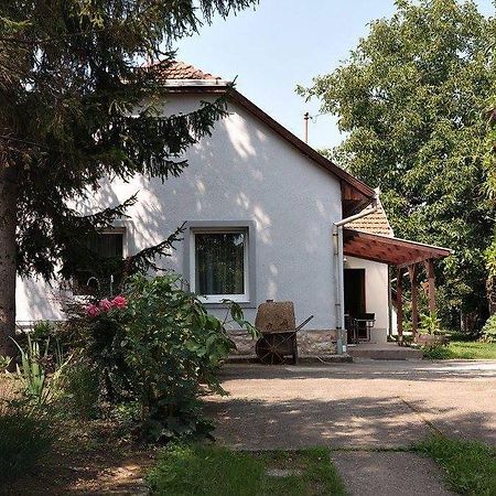 Borostyán 20 Vendégház Sárospatak Exterior foto
