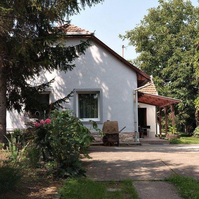 Borostyán 20 Vendégház Sárospatak Exterior foto